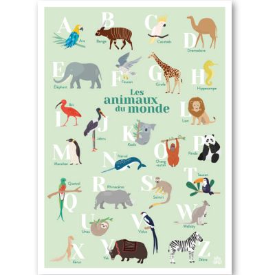 Papier curieux - Abécédaire des animaux du monde fond vert (A3)