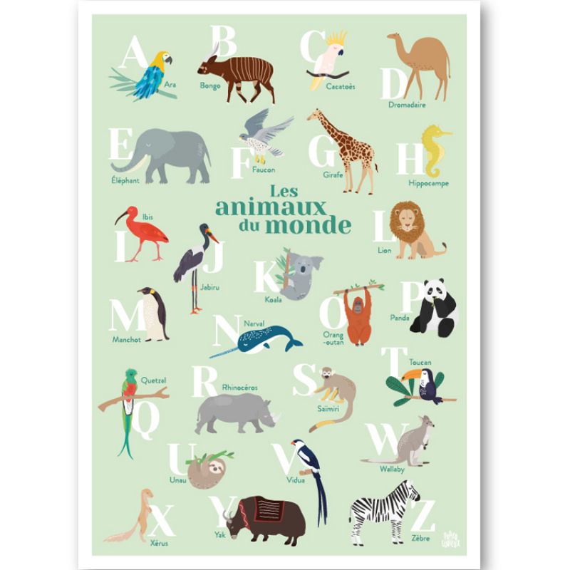 Abécédaire des animaux du monde fond vert (A3) Papier curieux