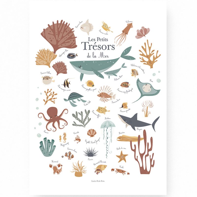 Affiche A3 Les petits trésors de la mer Lutin Petit Pois