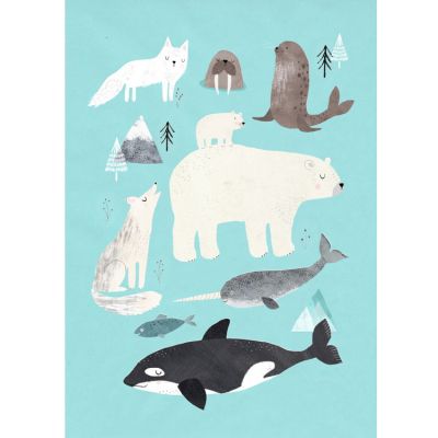 Affiche Animaux arctiques (50 x 70 cm) Petit Monkey