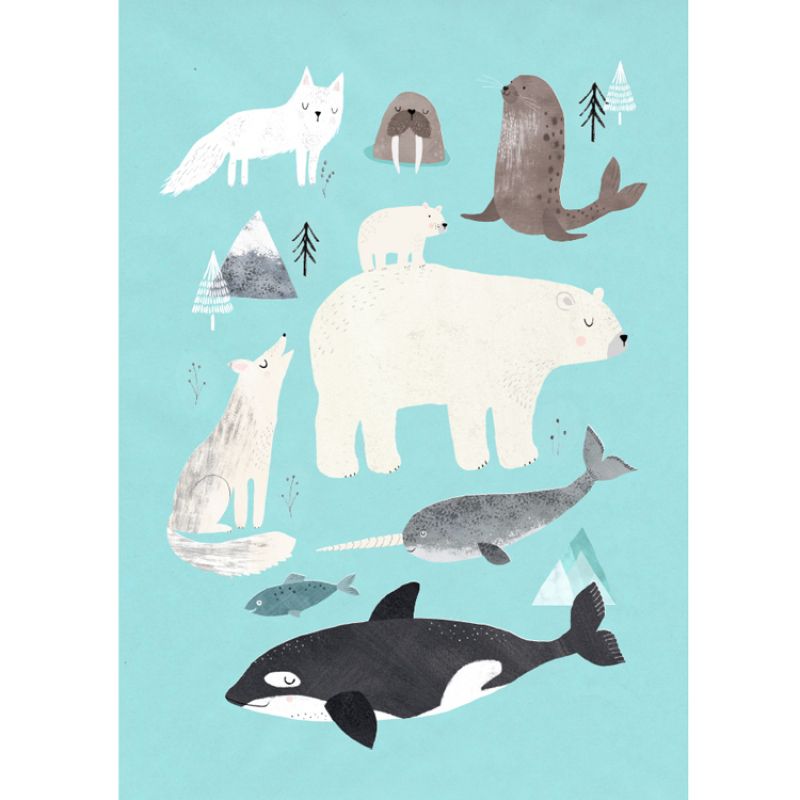 Affiche Animaux arctiques (50 x 70 cm) Petit Monkey