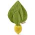 Doudou de dentition 2 en 1 John Lemon - Oli & Carol