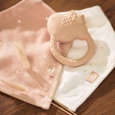 Lot de 2 bavoirs bandana Twinkling Wild Rose