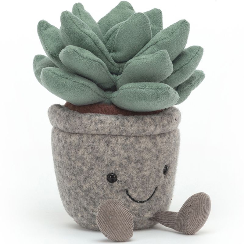 Peluche Amuseable Silly la succulente (16 cm) Jellycat