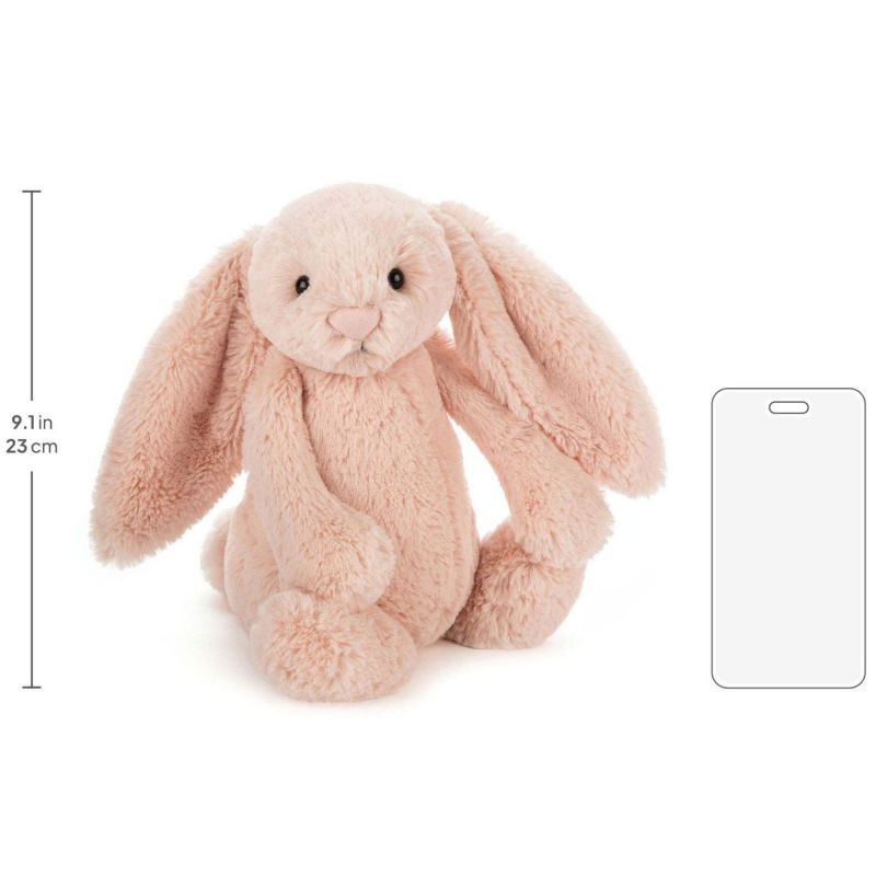 Peluche Bashful Lapin blush (31 cm) Jellycat Produit 4