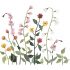 Stickers fleurs Queyran (64 x 55 cm) - Lilipinso