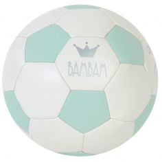 Petit ballon de football Lagoon (11 cm)