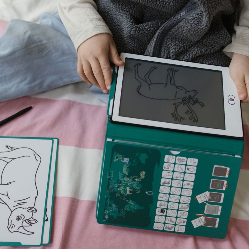 Tablette à dessin KIDYDRAW-MINI Animaux autour du monde vert (3 ans et+) KIDYWOLF Ambiance 9