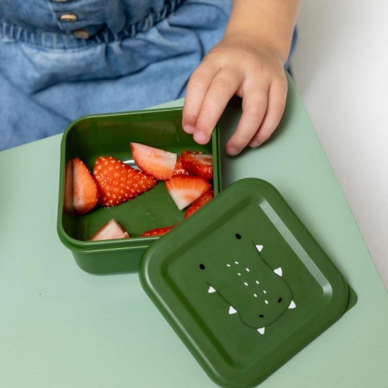 Lot de 3 boîtes à goûter Mr. Alligator Trixie Ambiance 3