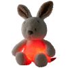 Peluche veilleuse Lapin Ecru (25 cm) Nattou Produit 4