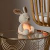 Peluche veilleuse Lapin Ecru (25 cm) Nattou Ambiance 6
