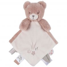 Doudou attache sucette Ours Lily - Noukie's