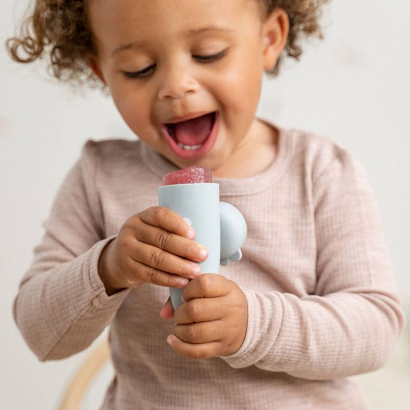 Lot de 3 moules à glace silicone Sheepy Rose Done by Deer Ambiance 3