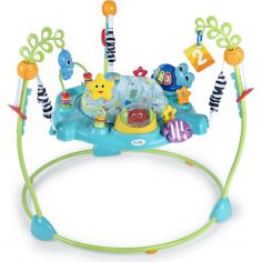 Centre d'activités à rebond Ocean Explorer Curiosity Cove - Baby Einstein