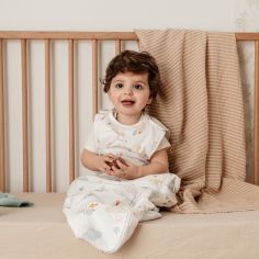 Gigoteuse été Montgolfière balloons (6-36 mois)