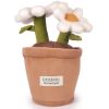 Peluche Botanique Marguerite (25 cm) Doudou et Compagnie Produit 1