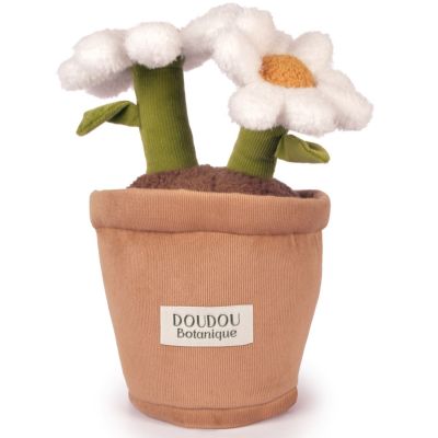 Peluche Botanique Marguerite (25 cm) Doudou et Compagnie