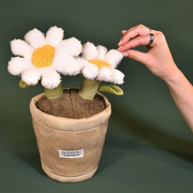 Peluche Botanique Marguerite (25 cm) Doudou et Compagnie Ambiance 2