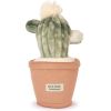 Peluche Botanique Cactus (25 cm) Doudou et Compagnie Produit 1