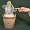 Peluche Botanique Cactus (25 cm) Doudou et Compagnie Ambiance 5