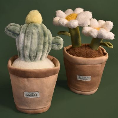 Peluche Botanique Cactus (25 cm)