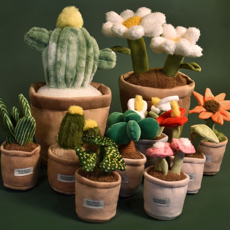 Peluche Botanique Cactus (25 cm) Doudou et Compagnie Ambiance 4