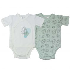 Lot de 2 bodies Feuille (3 mois) - Trois Kilos Sept