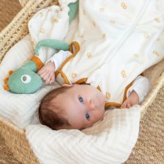 Doudou plat Diplododo (34 cm)