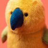 Peluche Perruche (14 cm) Jellycat Ambiance 6