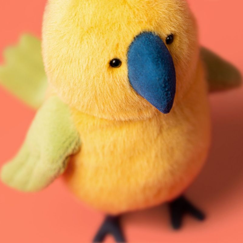 Peluche Perruche (14 cm) Jellycat Ambiance 7