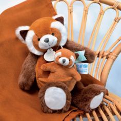 Coffret peluche Panda roux et son bébé (25 cm)