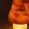 Petite lampe veilleuse champignon Petit Terra Egmont Toys Ambiance 6
