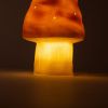 Petite lampe veilleuse champignon Petit Terra Egmont Toys Ambiance 7