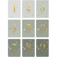 Cartes étapes de grossesse 9 mois à t'attendre Au jardin (15 cartes)  par Zakuw