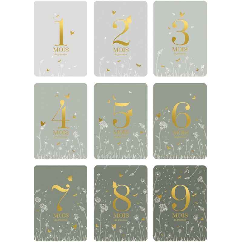 Cartes étapes de grossesse 9 mois à t'attendre Au jardin (15 cartes) Zakuw