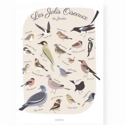 Affiche A3 Les jolis oiseaux du jardin  par Lutin Petit Pois