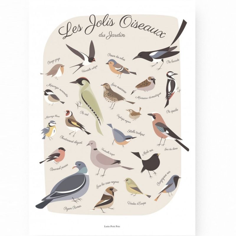 Affiche A3 Les jolis oiseaux du jardin Lutin Petit Pois