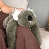 Peluche Koala lesté PODCOLL (50 cm) Histoire d'Ours Ambiance 2