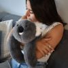 Peluche Koala lesté PODCOLL (50 cm) Histoire d'Ours Ambiance 7