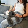 Peluche Koala lesté PODCOLL (50 cm) Histoire d'Ours Ambiance 8
