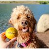 Balle rebondissante aquatique pour chien Fetch (6 cm) Waboba Ambiance 7