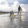Balle rebondissante aquatique pour chien Fetch (6 cm) Waboba Ambiance 8