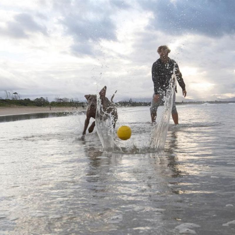 Balle rebondissante aquatique pour chien Fetch (6 cm) Waboba Ambiance 8