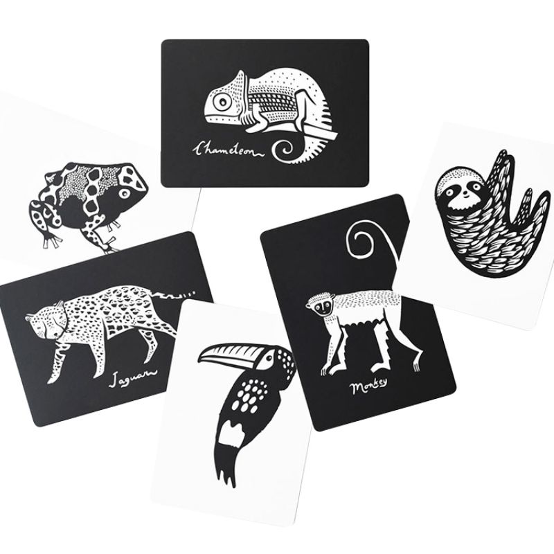 Cartes imagier pour bébé forêt tropicale Wee Gallery