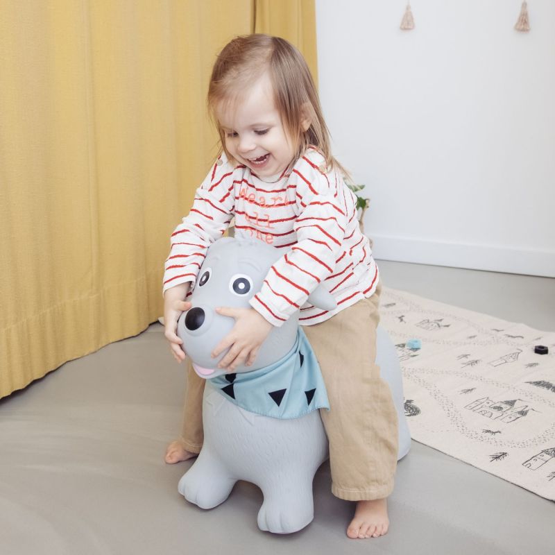 Ballon sauteur Chien Kindsgut Ambiance 5