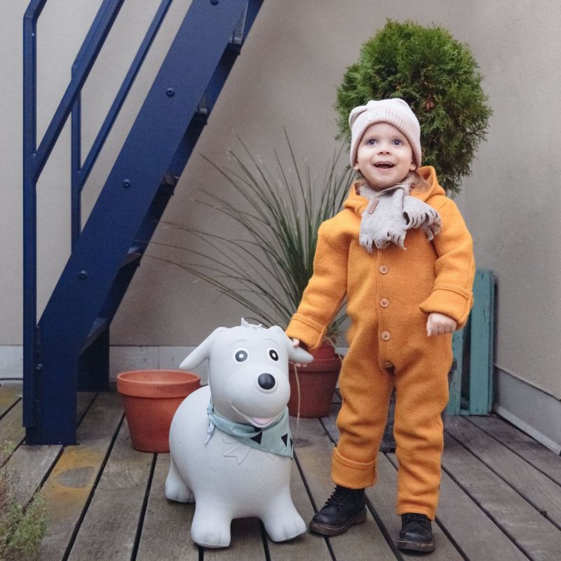 Ballon sauteur Chien Kindsgut Ambiance 6