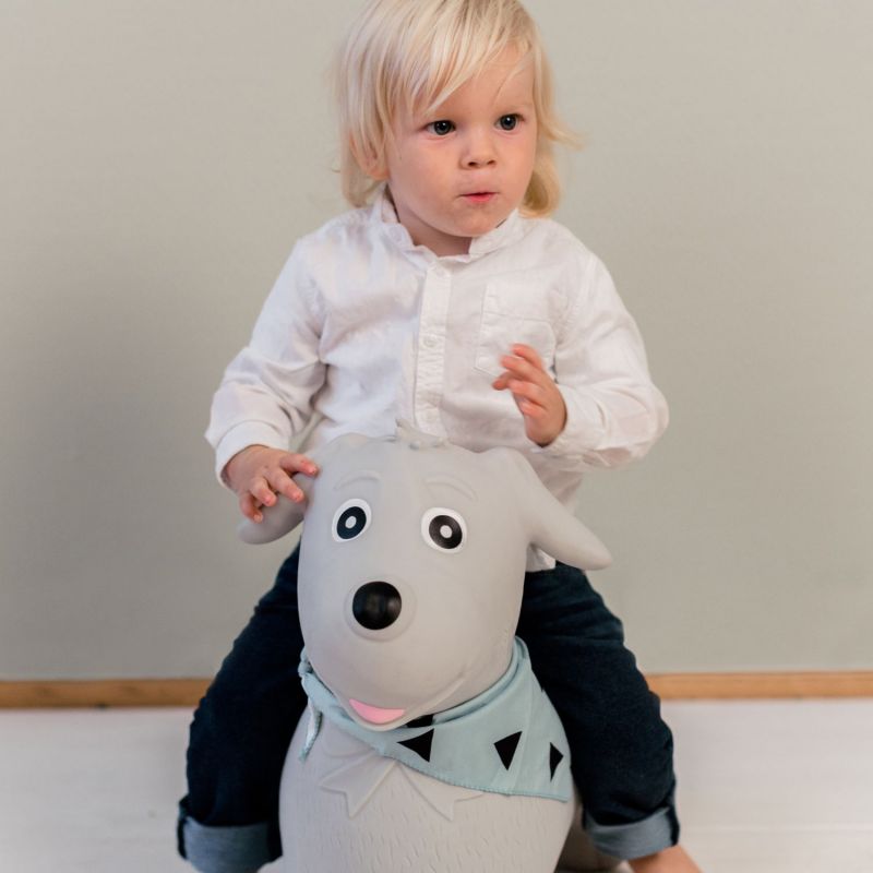 Ballon sauteur Chien Kindsgut Ambiance 7