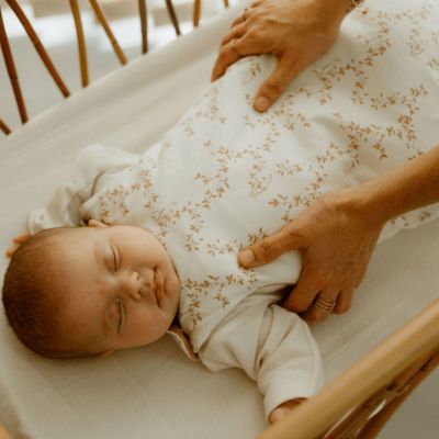 Gigoteuse 4 saisons royale (0-6 mois)