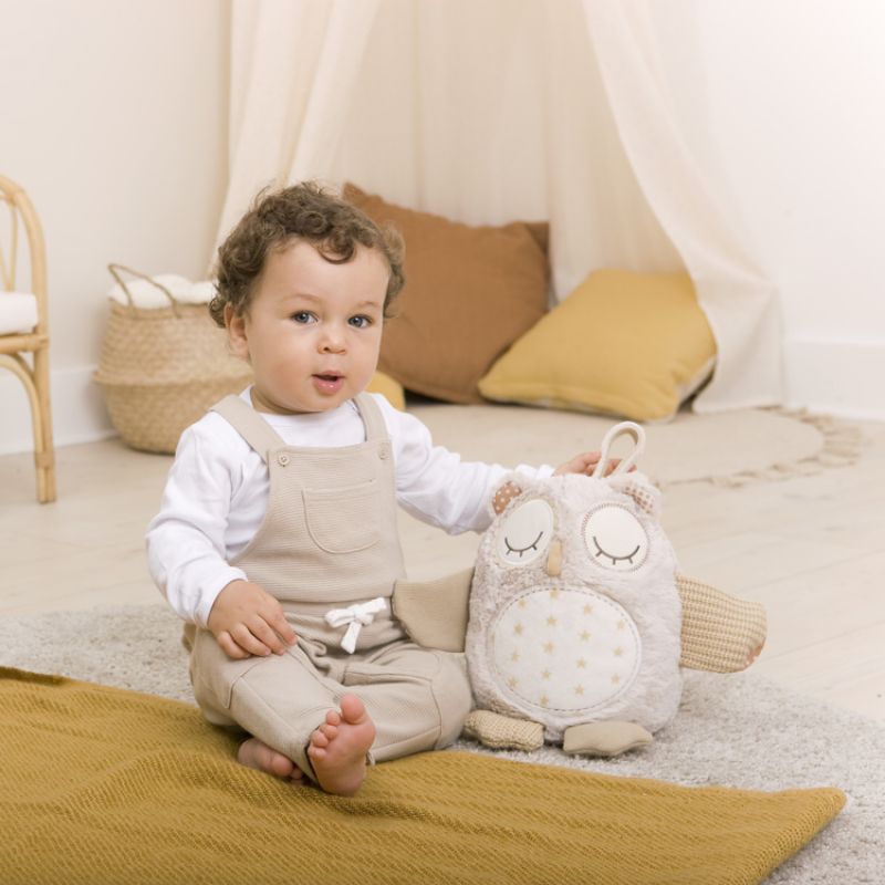 Peluche musicale bruit blanc Nighty Night owl Smart Sensor Cloud B Ambiance 6