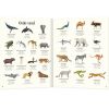 Livre L'anthologie illustrée des animaux fascinants  par Auzou Editions